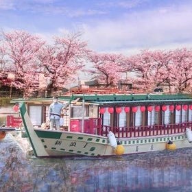 Tokyo Sakura Dinner Cruise: Wagyu Sukiyaki, Sushi & Live Shamisen
Details & Bookings ▶
(Image/Activity provider: KKday)