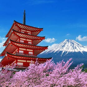 6 Must-See Mt. Fuji Photo Spots: Small-Group Day Tour
Details & Bookings ▶
(Image/Activity provider: Klook)