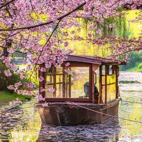 Wisata Sakura Sehari Kyoto: Naik Perahu Fushimi & Terowongan Bunga Seiwari-tei
Detail & Pemesanan ▶
(Foto/Penyelenggara aktivitas: KKday)