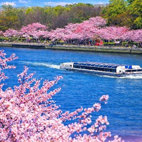 Aqua Bus ชมซากุระโอซาก้า, Osaka Castle Park & Katsuo-ji
รายละเอียดและจอง ▶
(ภาพ/ผู้ให้บริการกิจกรรม: Klook)