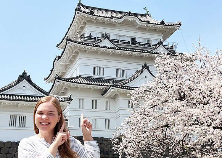 Half-Day Getaway from Tokyo: Cherry Blossoms, Local Culture and Samurai Vibes at Odawara Castle