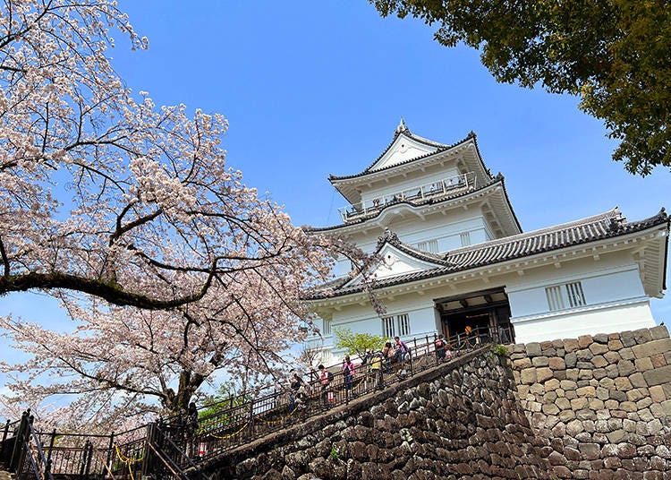 Highlights Inside Odawara Castle