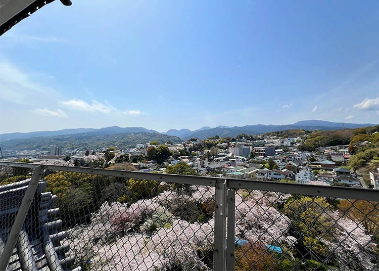Observation Deck. 5F