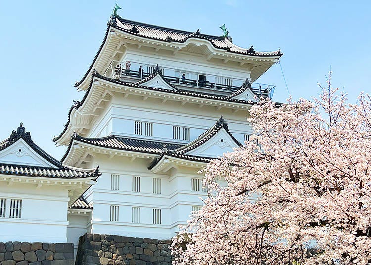 What is Odawara Castle?