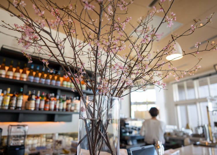 2025’s “Hanami at bills” Menu