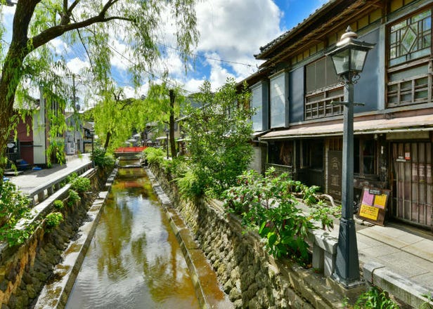 Road Trip Around Izu Peninsula: Stunning Views, Hidden Gems, and Relaxing Hot Springs