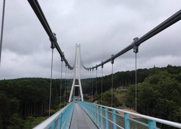 Mishima Sky Walk