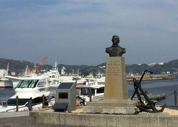 Road Trip Around Izu Peninsula: Stunning Views, Hidden Gems, and Relaxing Hot Springs