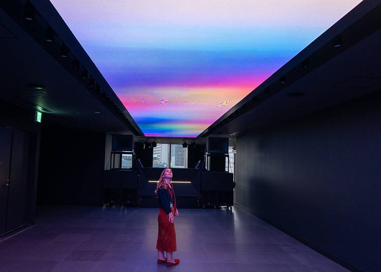 Vibrant installations shift and respond to a deep, resonant bass (3F)