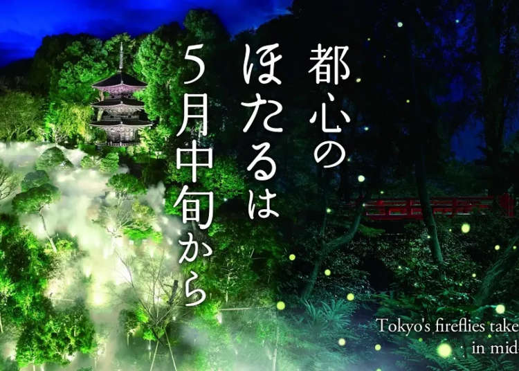 Fireflies in downtown Tokyo – Beautiful hotel garden begins hotaru season event