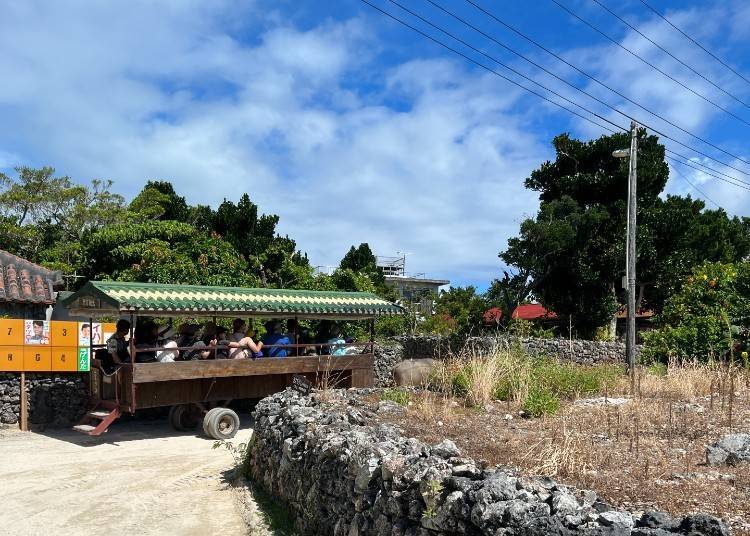Photo by author. After renting a bike to tour the island, I came across tourists enjoying a water buffalo cart ride.
