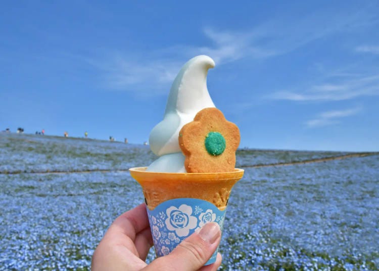 Nemophila Blue Soft Serve. (Image: Hitachi Seaside Park)