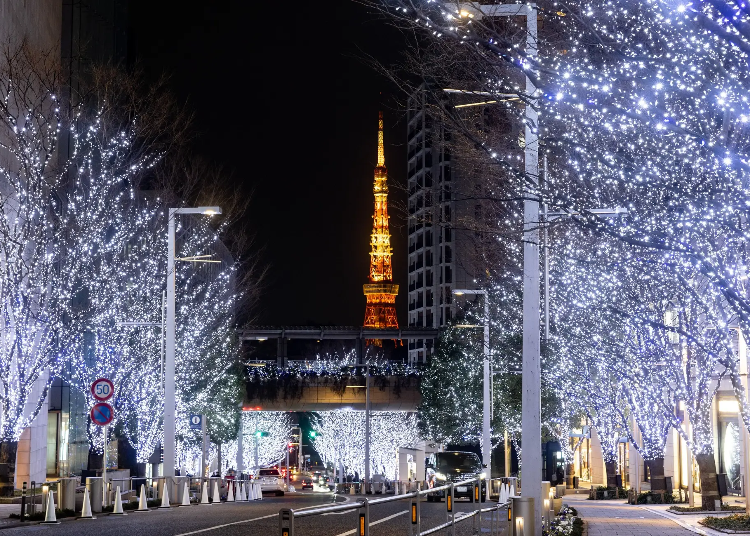 ※「けやき坂イルミネーション」（過去の様子）画像素材：森ビル株式会社（PR TIMESより）