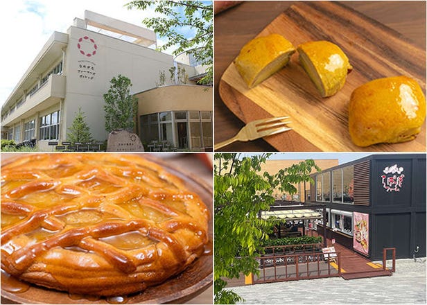 Lapoppo Farm, one of Japan's leading makers of sweet potato treats!
An in-depth guide to the secrets behind its popularity, including best-selling products and facilities!