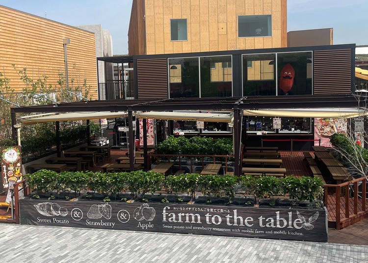 Lapoppo Farm前進大阪・關西世博展店!全國人氣持續擴大中!