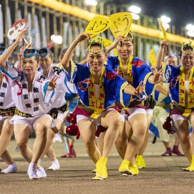 Awa Dance Festival and Naoshima 2 Days Bus Tour from Osaka
Details & Bookings ▶
(Image/Activity provider: Klook)