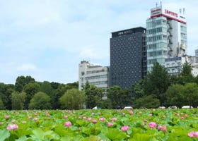 10 Selected Hotels Convenient for Ueno and Yanesen Tourism | Carefully Selected Quality Hotels Near Stations for Comfortable Stays