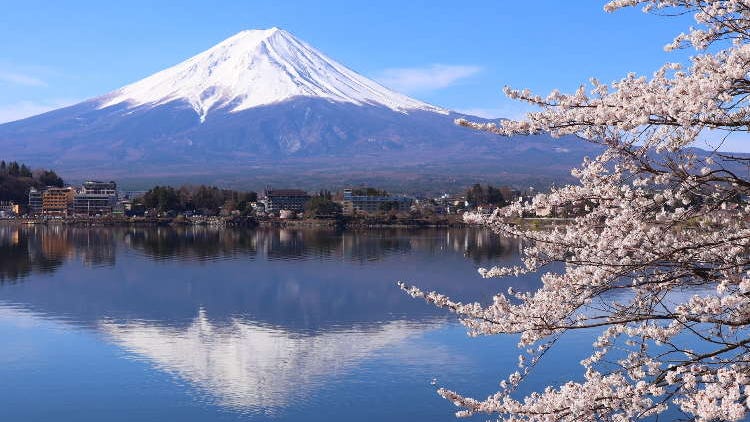 【出発地で選ぶ】東京発・富士山河口湖日帰りツアーガイド