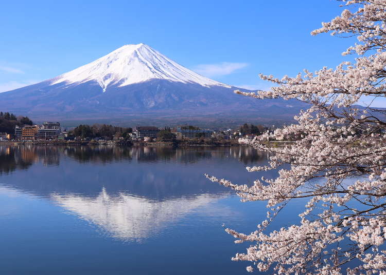 Mt. Fuji Day Trip from Tokyo: Best Bus Tours from Shinjuku & Ginza
