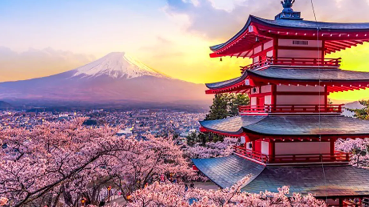 【富士山一日遊】東京出發河口湖交通攻略：新宿/銀座巴士旅遊行程＆費用總整理
