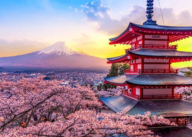Mt. Fuji Day Trip from Tokyo: A Complete Guide to Bus Tours from Shinjuku & Ginza