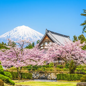 Mt. Fuji & Oshino Hakkai & Hot Spring Day Tour(Departing from Tokyo)
Image source: Klook