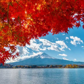 [Guaranteed Departure for Solo Traveler] Mt. Fuji 5th Station, Gotemba Outlet | Optional A5 Premium Kuroge Wagyu "Kobe Beef"
Image source: KKday