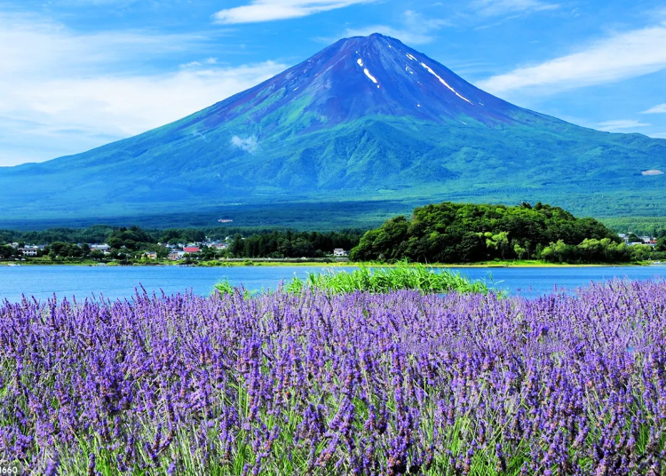 Image source: Klook