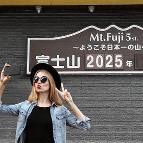 Tokyo Mountain Fuji 5th Station Day Tour 9-Person Tour
Image source: Viator