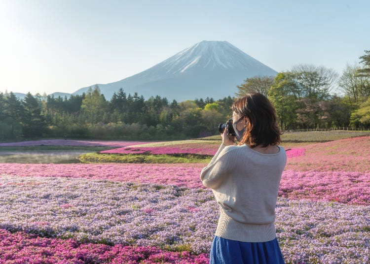 画像素材：PIXTA