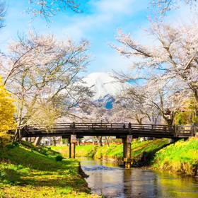 Mount Fuji Flower Viewing Popular One-Day Tour
이미지 출처: Klook