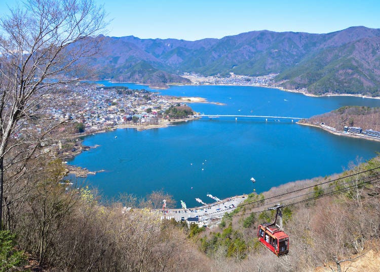 이미지 출처: PIXTA