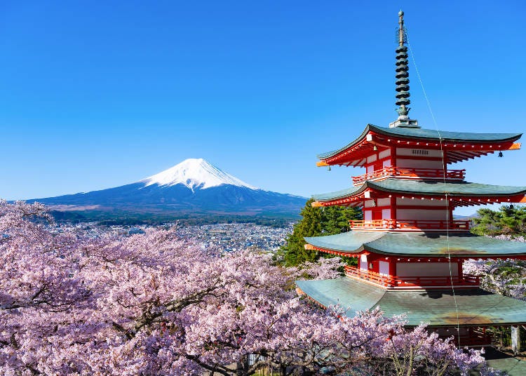 圖片來源：PIXTA