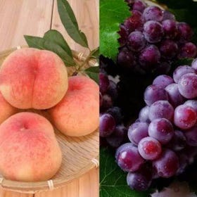 【Fuji Fruit Picking Day Tour】Fuji 5th Station & All-you-can-eat Seasonal Fruits & Shingen Mochi Experience
Image sourse：KKday