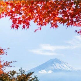 Arakurayama Park & Seasonal Fruit Picking & Mt. Fuji Day Tour (Shinjuku Departure)
Image sourse：Klook