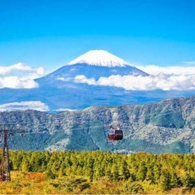 Mount Fuji and Hakone Day Tour: Land, Sea, and Sky Adventure with Ropeway and Pirate Ship
Image sourse：KKday