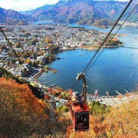大石公園 & 河口湖 富士山パノラマロープウェイ 1日 美食體驗 & 採水果體驗 ツアー
画像：Klook
