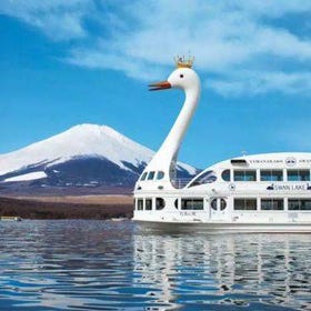 【季節限定】日帰り富士山旅行｜河口湖大石公園・富士芝桜まつり・紅葉回廊・山中湖温泉 or クルーズ
画像：KKday