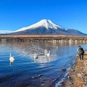 富士山、温泉、河口湖、山中湖を巡る一日ツアー
画像：Viator