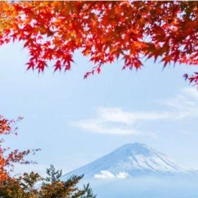 新倉山公園、旬のフルーツ狩り、富士山眺望を楽しむ日帰りツアー（新宿発）
画像：Klook