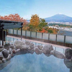 富士山、河口湖、忍野八海と御殿場のプレミアムアウトレット探索（ランチ付き）
画像：Viator
