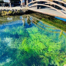 【富士山&箱根】人気観光スポット巡り日帰りツアー｜箱根神社+芦ノ湖 水上鳥居+海賊船+大涌谷+山中湖 白鳥
画像：Klook