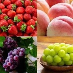 [후지산 과일 따기 당일치기 여행] 아라쿠라야마 센겐 공원 & 계절 과일 따기 & 후지산 & 가와구치 호수 벚꽃·단풍 축제
이미지 출처：KKday