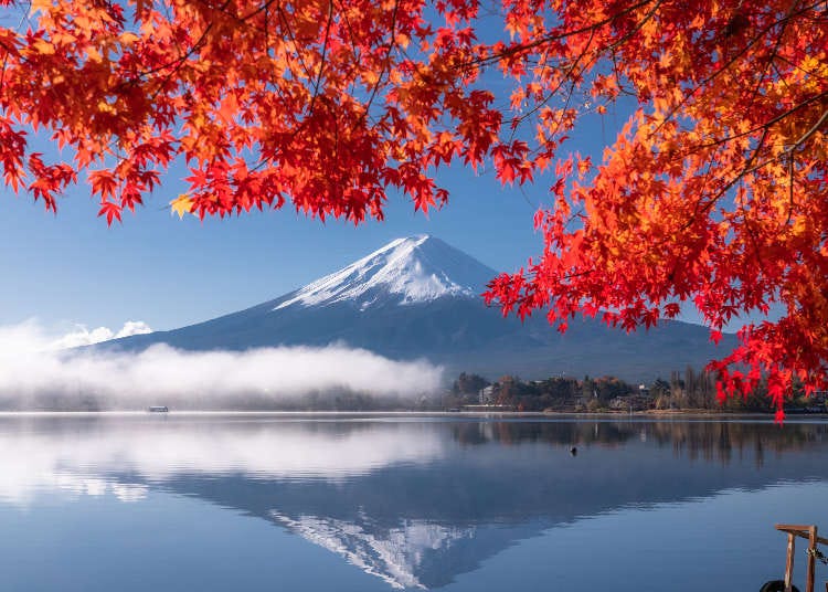 【王道ルートの決定版】富士山＆箱根を1日で満喫！いいとこ取りツアー徹底比較