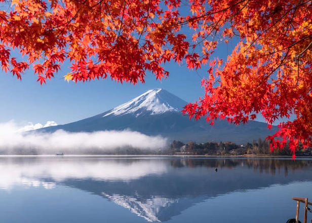 【王道ルートの決定版】富士山＆箱根を1日で満喫！いいとこ取りツアー徹底比較