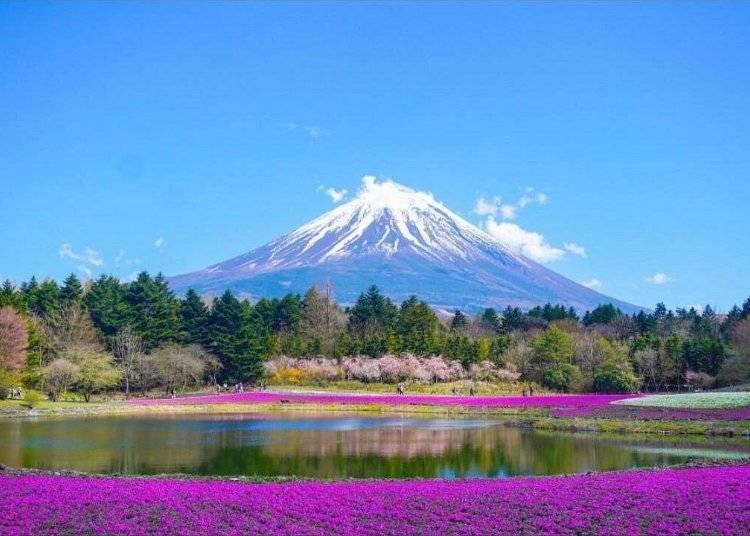 Image source: Viator