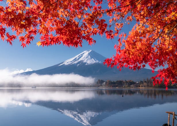 【王道ルートの決定版】富士山＆箱根を1日で満喫！いいとこ取りツアー徹底比較