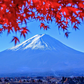 富士山と箱根への日帰りバスツアー
画像：Viator
