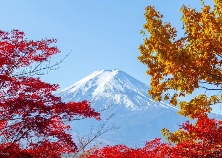 画像：Klook