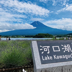 東京 : 富士山＆河口湖1 日帰りバスツアー（オプショナルランチ付き）
画像：Viator